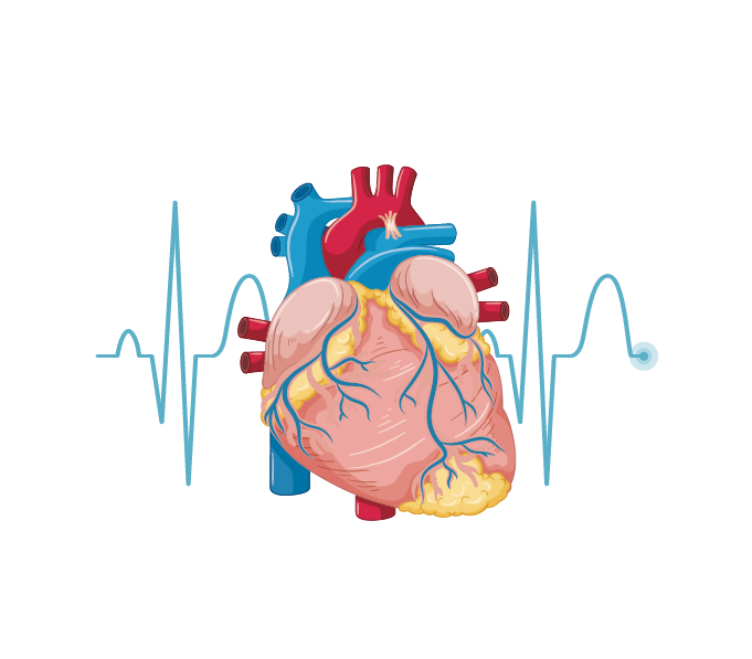 Self Photos / Files - AMD_icon-14